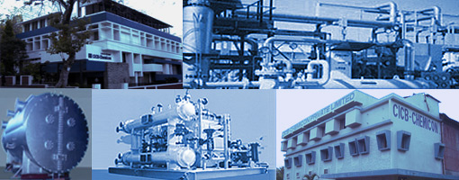 main collage